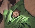 Click image for larger version

Name:	hedgehog.jpg
Views:	188
Size:	13.4 KB
ID:	2317860