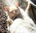 Click image for larger version

Name:	claws.jpg
Views:	506
Size:	66.5 KB
ID:	2317867