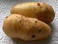 Click image for larger version

Name:	Scab on Potatoes.jpg
Views:	4759
Size:	41.8 KB
ID:	2317962