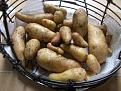 Click image for larger version

Name:	Harlequin potatoes.jpg
Views:	905
Size:	52.7 KB
ID:	2317967