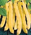 Click image for larger version

Name:	beansupernanogiallo.jpg
Views:	1492
Size:	19.8 KB
ID:	2318026