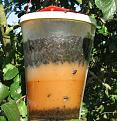 Click image for larger version

Name:	flies,flies,flies.jpg
Views:	1061
Size:	93.0 KB
ID:	2318060