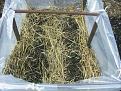 Click image for larger version

Name:	Allotment 18th Oct 06 020-400.jpg
Views:	246
Size:	28.1 KB
ID:	2318070