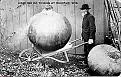 Click image for larger version

Name:	onion_wheelbarrow.jpg
Views:	340
Size:	26.1 KB
ID:	2318105