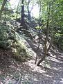 Click image for larger version

Name:	DENTON DENE 003-400.jpg
Views:	217
Size:	29.8 KB
ID:	2318114