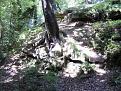 Click image for larger version

Name:	DENTON DENE 004-400.jpg
Views:	297
Size:	31.6 KB
ID:	2318115