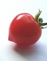 Click image for larger version

Name:	tomato1.jpg
Views:	281
Size:	13.3 KB
ID:	2318140
