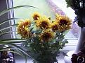 Click image for larger version

Name:	Dec erd 50p chrysanth 003-400.jpg
Views:	360
Size:	20.0 KB
ID:	2318145
