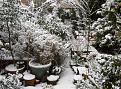 Click image for larger version

Name:	Garden &amp;amp; Oasis Mar.06 016.jpg
Views:	229
Size:	91.7 KB
ID:	2318263