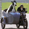 Click image for larger version

Name:	cowcodriver.jpg
Views:	211
Size:	4.7 KB
ID:	2318293