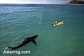 Click image for larger version

Name:	2252.jpg
Views:	226
Size:	38.3 KB
ID:	2318322