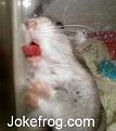 Click image for larger version

Name:	2256.jpg
Views:	221
Size:	14.8 KB
ID:	2318323