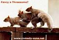 Click image for larger version

Name:	animals042.jpg
Views:	186
Size:	8.2 KB
ID:	2318331