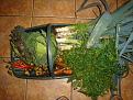 Click image for larger version

Name:	DSC05236.JPG
Views:	315
Size:	34.8 KB
ID:	2318333