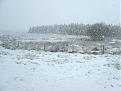 Click image for larger version

Name:	Snow Globe.JPG
Views:	275
Size:	83.2 KB
ID:	2318349