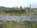 Click image for larger version

Name:	Allotment 5a.jpg
Views:	282
Size:	66.3 KB
ID:	2318491