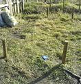 Click image for larger version

Name:	Allotment 6a.jpg
Views:	287
Size:	87.4 KB
ID:	2318494