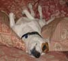 Click image for larger version

Name:	IMG_0519.jpg
Views:	125
Size:	25.7 KB
ID:	2318560