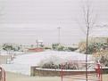 Click image for larger version

Name:	snow,20.3.07-400.jpg
Views:	316
Size:	15.9 KB
ID:	2318563