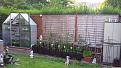 Click image for larger version

Name:	Tomato Bamboo Cage.jpg
Views:	244
Size:	99.4 KB
ID:	2370850