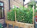 Click image for larger version

Name:	Peas.jpg
Views:	535
Size:	66.4 KB
ID:	2370864