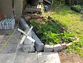 Click image for larger version

Name:	2013-06-06 (02) - Comfrey Bed.jpg
Views:	394
Size:	98.4 KB
ID:	2371059