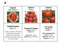 Click image for larger version

Name:	Seed Labels.jpg
Views:	346
Size:	88.8 KB
ID:	2371412