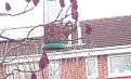 Click image for larger version

Name:	s great tit.jpg
Views:	316
Size:	93.0 KB
ID:	2371444