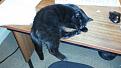 Click image for larger version

Name:	20161118_150716[1].jpg
Views:	179
Size:	97.1 KB
ID:	2371755