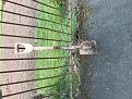 Click image for larger version

Name:	spade.jpg
Views:	203
Size:	97.3 KB
ID:	2372296