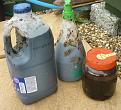 Click image for larger version

Name:	comfrey step3.jpg
Views:	671
Size:	91.9 KB
ID:	2372791