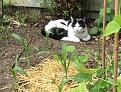 Click image for larger version

Name:	IMG_0266.jpg
Views:	204
Size:	101.9 KB
ID:	2372797
