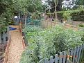 Click image for larger version

Name:	DSCN0859.jpg
Views:	190
Size:	99.8 KB
ID:	2372938