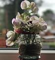 Click image for larger version

Name:	IMG_5407.jpg
Views:	166
Size:	83.1 KB
ID:	2373380