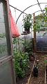 Click image for larger version

Name:	20170701_145522_resized.jpg
Views:	281
Size:	101.8 KB
ID:	2373457
