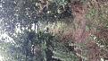 Click image for larger version

Name:	20170715_151222.jpg
Views:	298
Size:	99.6 KB
ID:	2373643