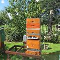 Click image for larger version

Name:	IMG_0428.JPG
Views:	354
Size:	159.2 KB
ID:	2374351