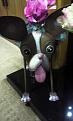 Click image for larger version

Name:	Dog.jpg
Views:	182
Size:	68.5 KB
ID:	2376116