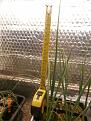 Click image for larger version

Name:	OnionSupports (4).JPG
Views:	318
Size:	187.0 KB
ID:	2376196