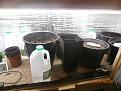 Click image for larger version

Name:	Growbox2SeedPots.JPG
Views:	216
Size:	167.6 KB
ID:	2376669