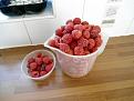 Click image for larger version

Name:	Raspberry 3.jpg
Views:	154
Size:	128.0 KB
ID:	2379030