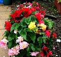 Click image for larger version

Name:	IMG_7904.jpg
Views:	252
Size:	183.1 KB
ID:	2381021