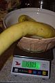 Click image for larger version

Name:	weighing the tromba.jpg
Views:	168
Size:	137.4 KB
ID:	2381461