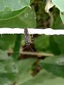 Click image for larger version

Name:	IMG_20190604_173631090_BURST000_COVER_TOP.jpg
Views:	164
Size:	367.0 KB
ID:	2383915