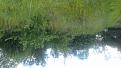 Click image for larger version

Name:	20190606_101501 (640x360).jpg
Views:	457
Size:	163.2 KB
ID:	2383967