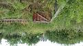 Click image for larger version

Name:	20190610_083005 (640x360).jpg
Views:	292
Size:	219.8 KB
ID:	2384031