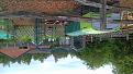 Click image for larger version

Name:	20190610_073136 (640x360).jpg
Views:	289
Size:	194.2 KB
ID:	2384032