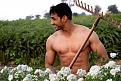 Click image for larger version

Name:	world naked gardening day.jpg
Views:	165
Size:	102.6 KB
ID:	2385760