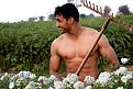 Click image for larger version

Name:	world naked gardening day.jpg
Views:	252
Size:	102.6 KB
ID:	2385760