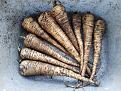 Click image for larger version

Name:	Parsnips 2019.jpg
Views:	238
Size:	602.9 KB
ID:	2385888